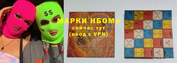 ECSTASY Пересвет