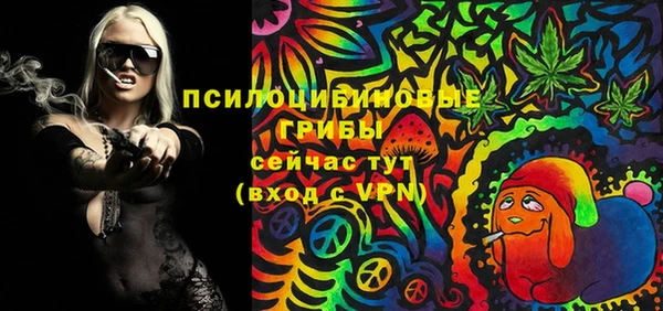бошки Переславль-Залесский