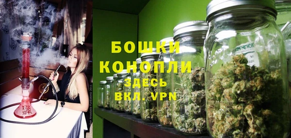 ECSTASY Пересвет
