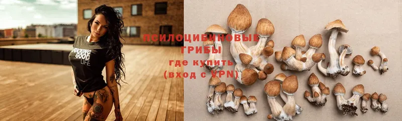 Псилоцибиновые грибы Magic Shrooms  купить наркотики сайты  мориарти как зайти  Кимры 